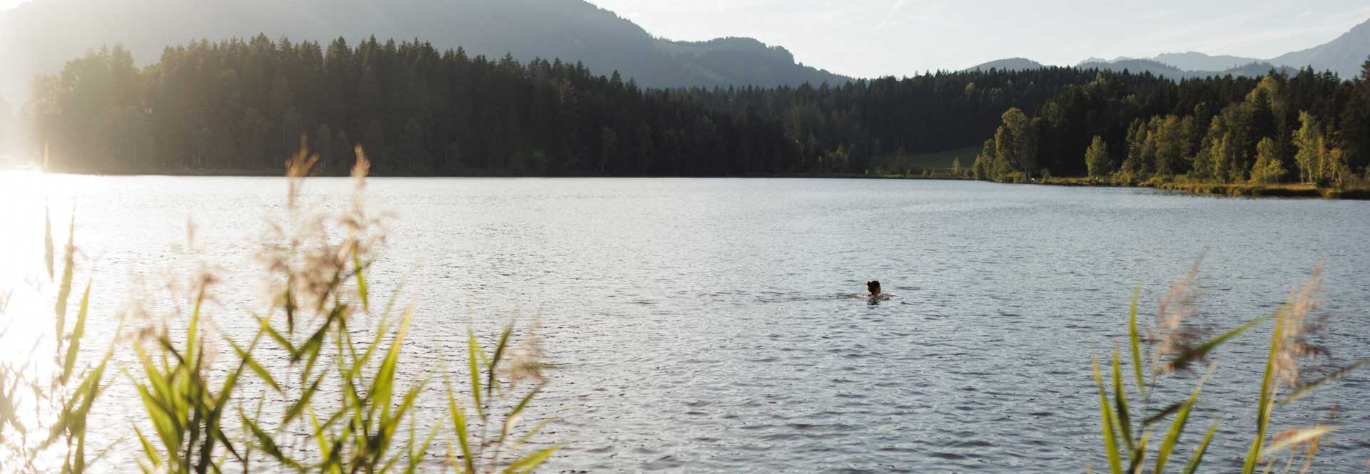 Schwarzsee-Sommer-11-Alpenhotel-Kitzbuehel-Schwarzsee