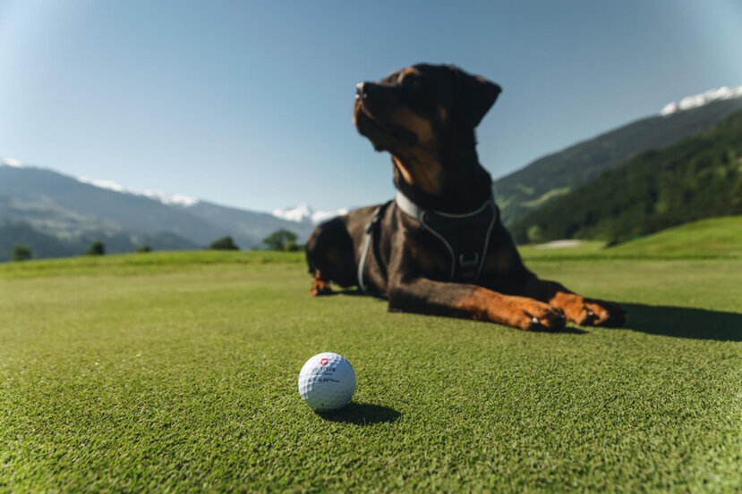 Golfen-mit-Hund-Sommer-5-Alpenhotel-Kitzbuehel-Schwarzsee