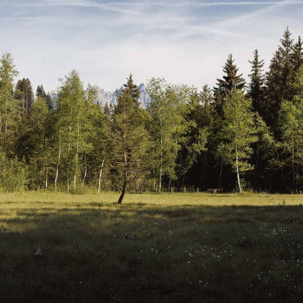 Fruehling-Hotel-113-2-Alpenhotel-Kitzbuehel-Schwarzsee