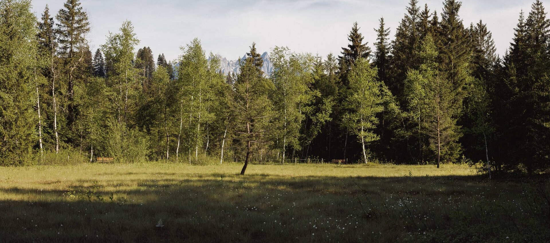 Fruehling-Hotel-113-2-Alpenhotel-Kitzbuehel-Schwarzsee