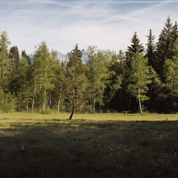 Fruehling-Hotel-113-2-Alpenhotel-Kitzbuehel-Schwarzsee