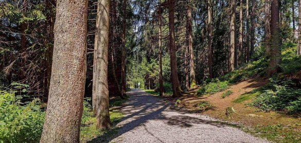 Rundwanderung-Sommer-1-Alpenhotel-Kitzbuehel-Schwarzsee